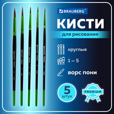 Кисти BRAUBERG PREMIUM, набор 5 шт. (из ворса пони круглые № 1, 2, 3, 4, 5), блистер, 201022