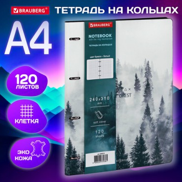 Тетрадь на кольцах БОЛЬШАЯ А4 (240х310 мм), 120 л., под кожу, BRAUBERG VISTA, "Туман", 404515